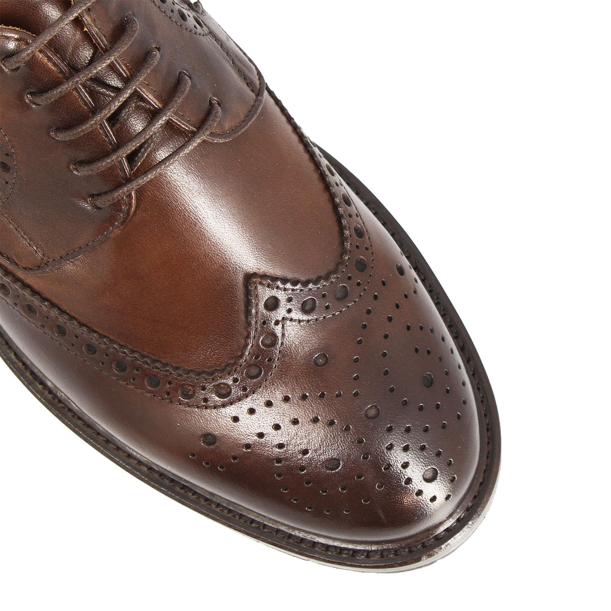 Close-up of the wingtip toe and medallion on the Massimo dark brown derby
