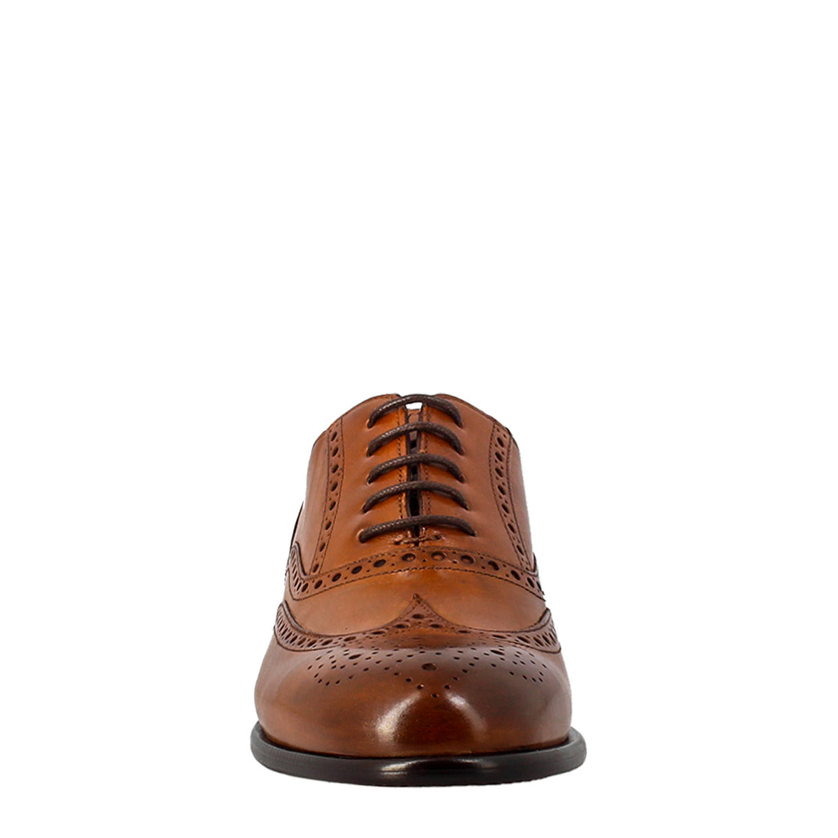 Oxford brogue marrone elegante da uomo in pelle - LeonardoShoes
