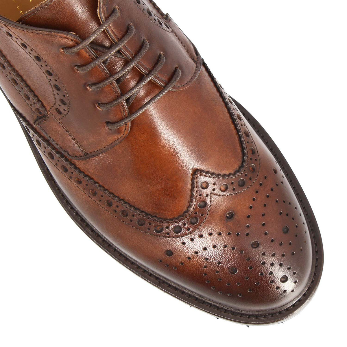 Close-up of the wingtip toe and perforated medallion on the Massimo brown derby